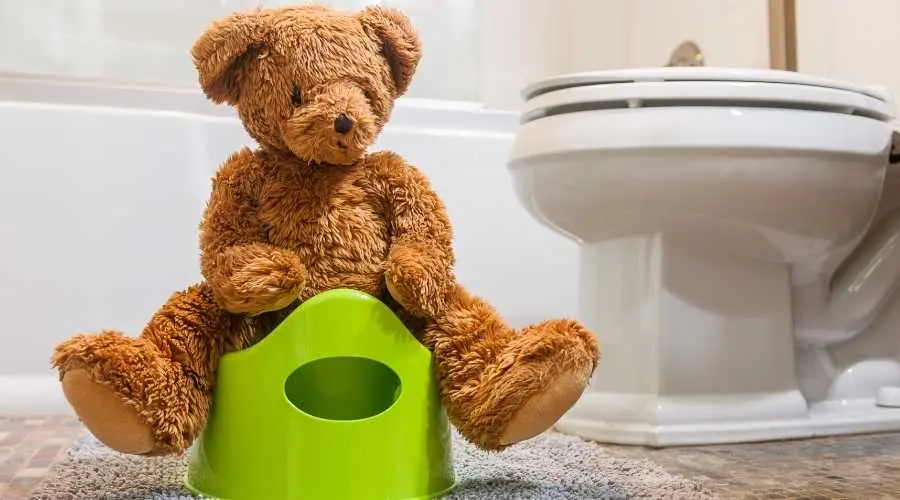 Teddy bear sitting on a green potty in a bathroom beside a toilet