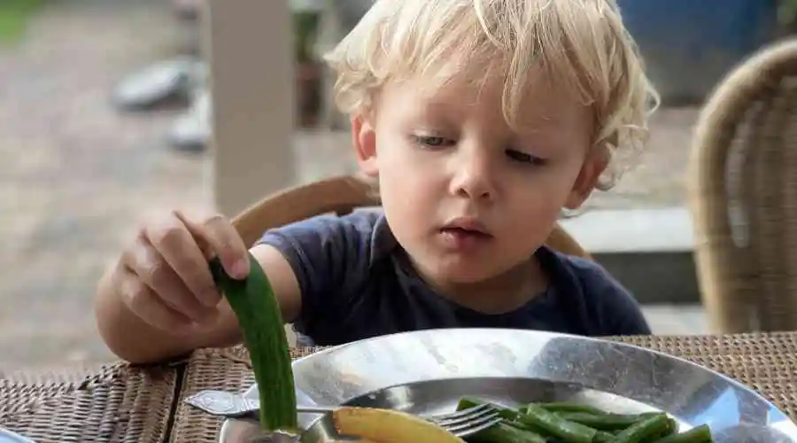 Veggies for Kids: Broccoli Recipes and Tips