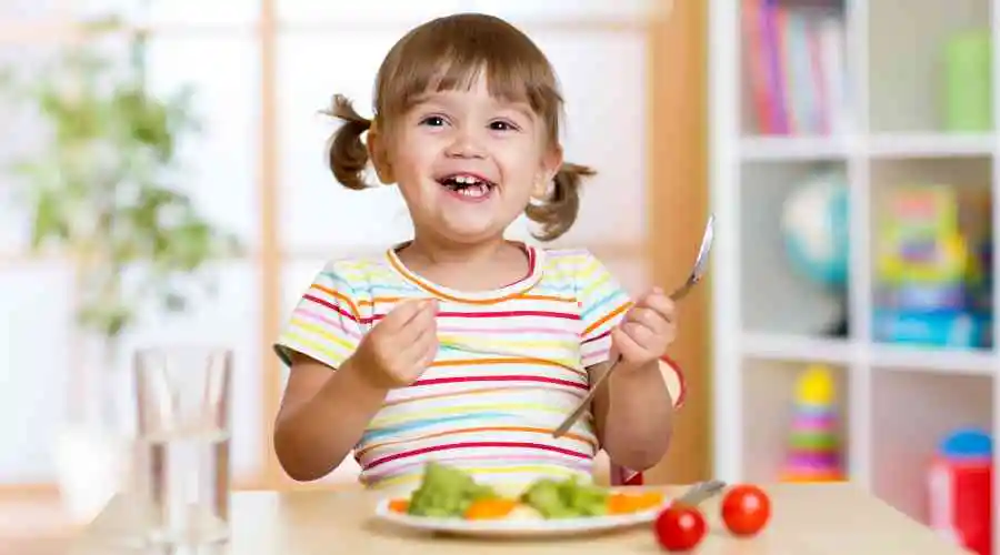 What Is The "Kid's Healthy Eating Plate?"
