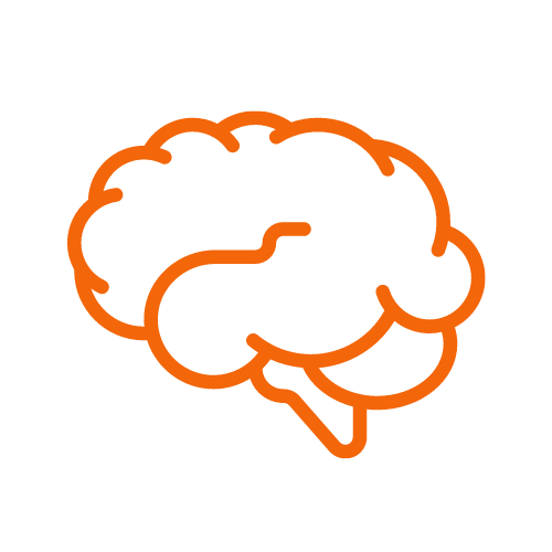 cognitive development