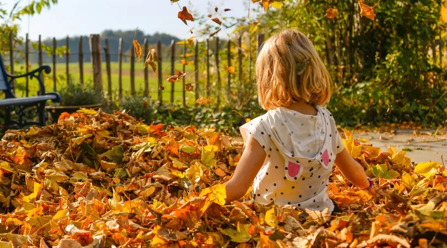 Child sits in a pile of autumn leaves outdoors while leaves fall around them.